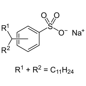 labsa-04.jpg